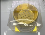 Glass Incense Burner, Wedding Favor