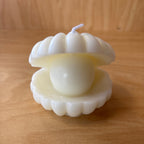 Candle See Shell Candle with Clear Box Party Favors Give Away. F90271
