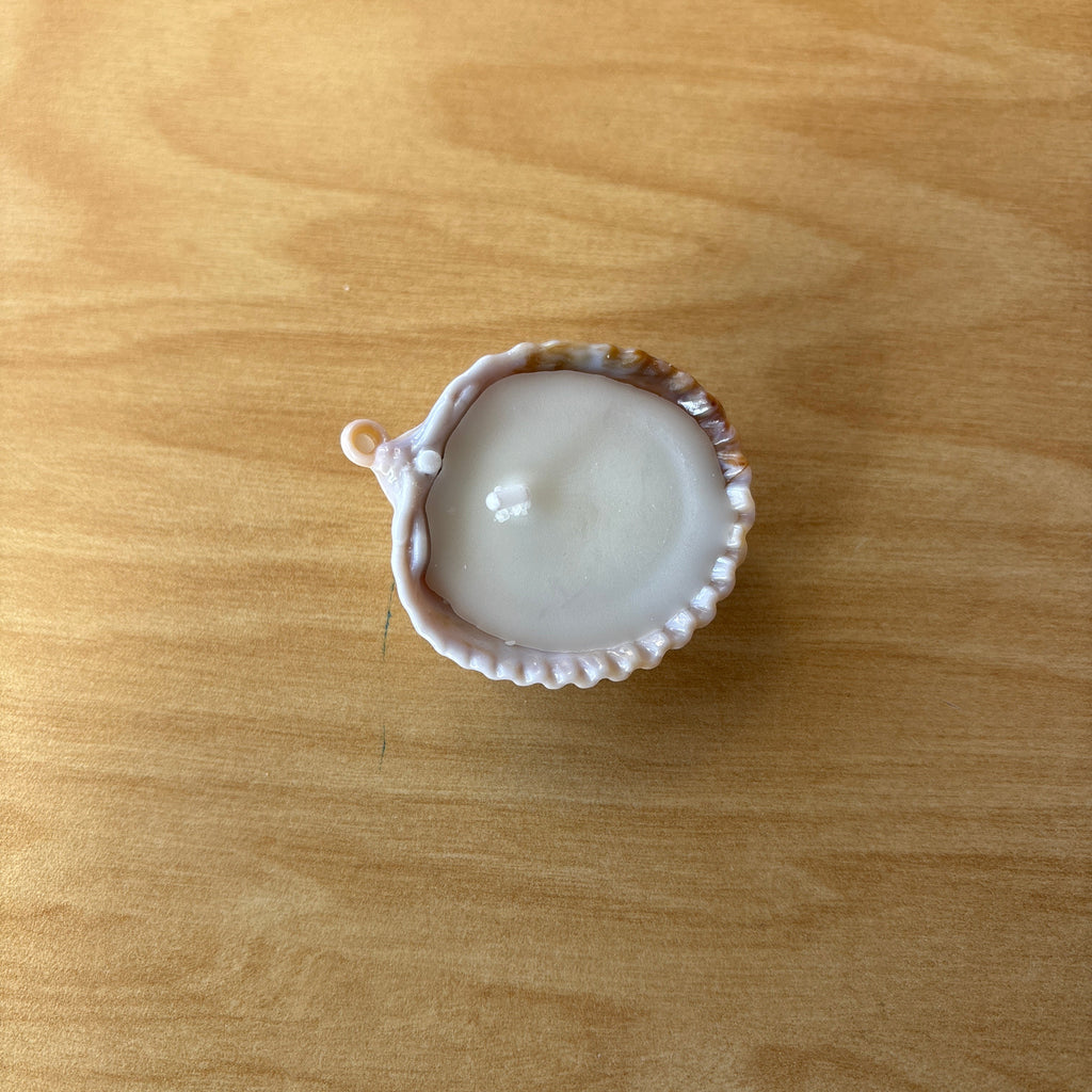 Candle Natural Shell Candle