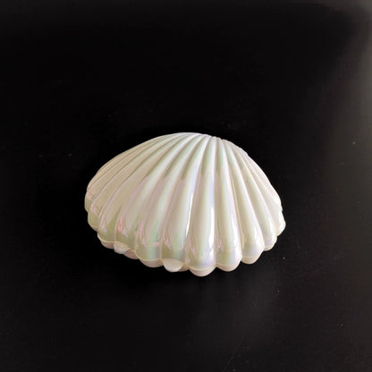 Big Shell Shape Plastic