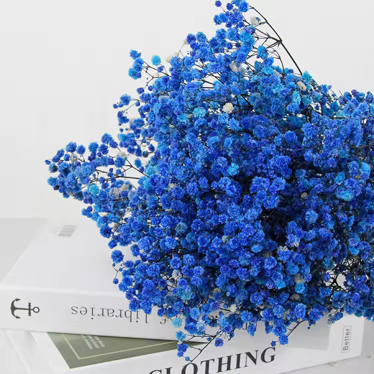 Dried Baby Breath Flower