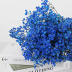 Dried Baby Breath Flower
