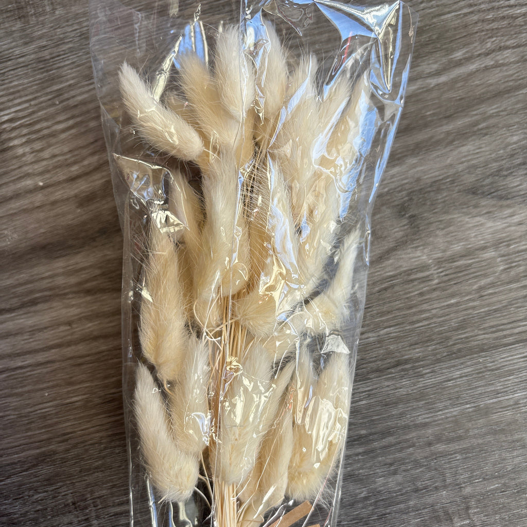 Dried Lagurus Ovatus Flower Fluffy Rabbit Tail Grass Natural 50cm Bunny tails Dried Flowers Dried Lagurus Ovatus