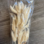 Dried Lagurus Ovatus Flower Fluffy Rabbit Tail Grass Natural 50cm Bunny tails Dried Flowers Dried Lagurus Ovatus