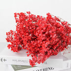 Dried Baby Breath Flower