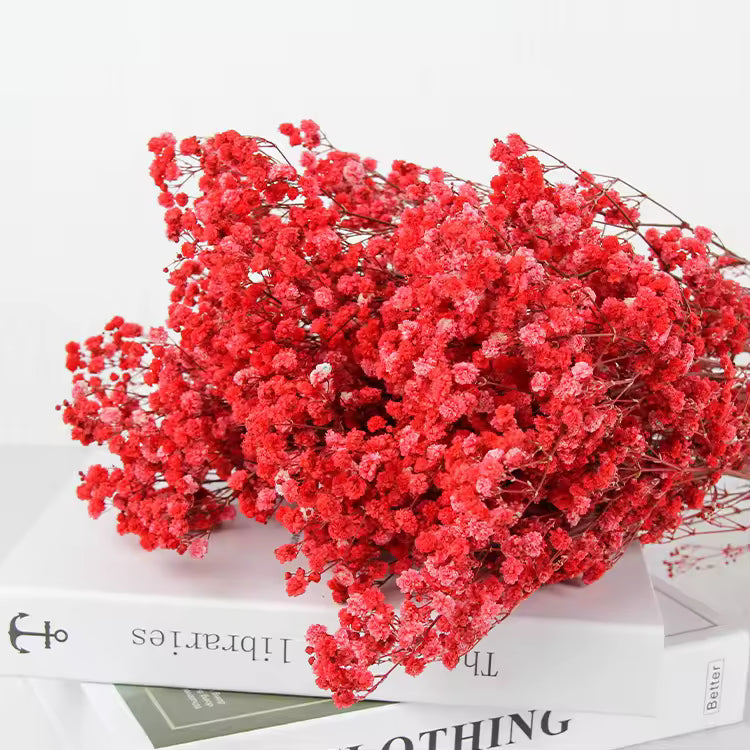 Dried Baby Breath Flower