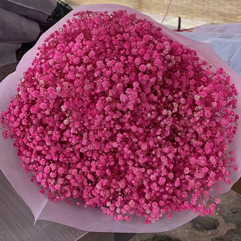 Dried Flower Baby Beath