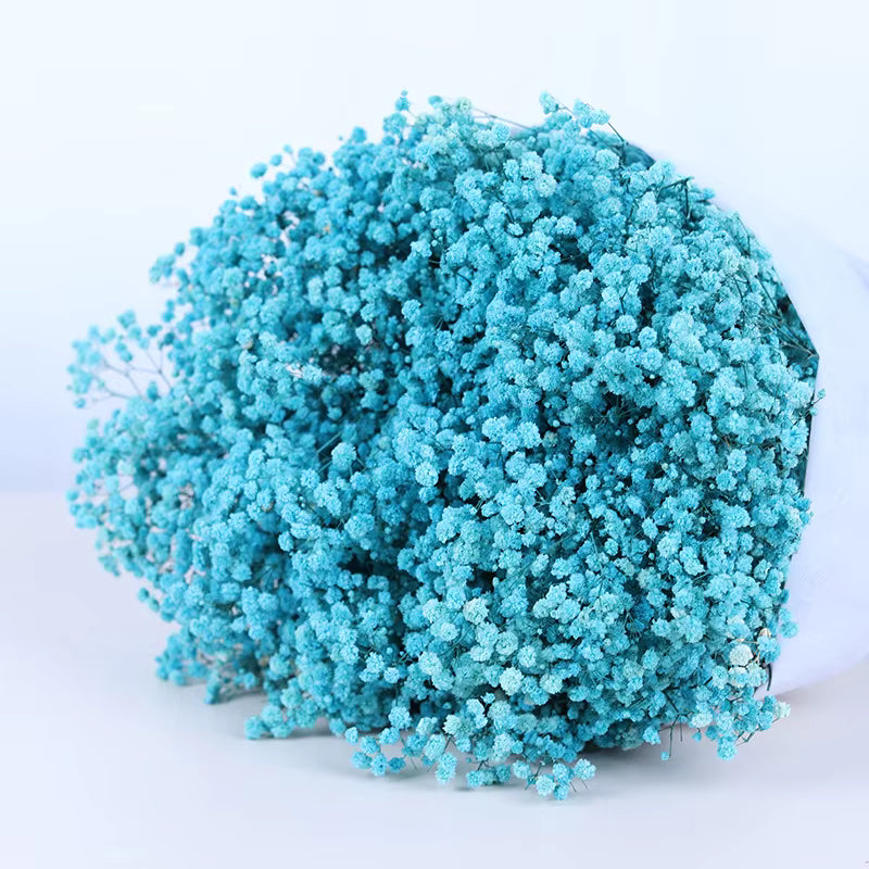 Dried Baby Breath Flower