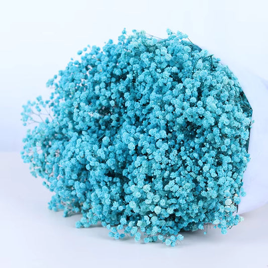 Dried Flower Baby Beath