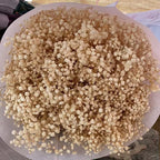 Dried Baby Breath Flower