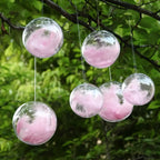 Clear Acrylic Ornament
