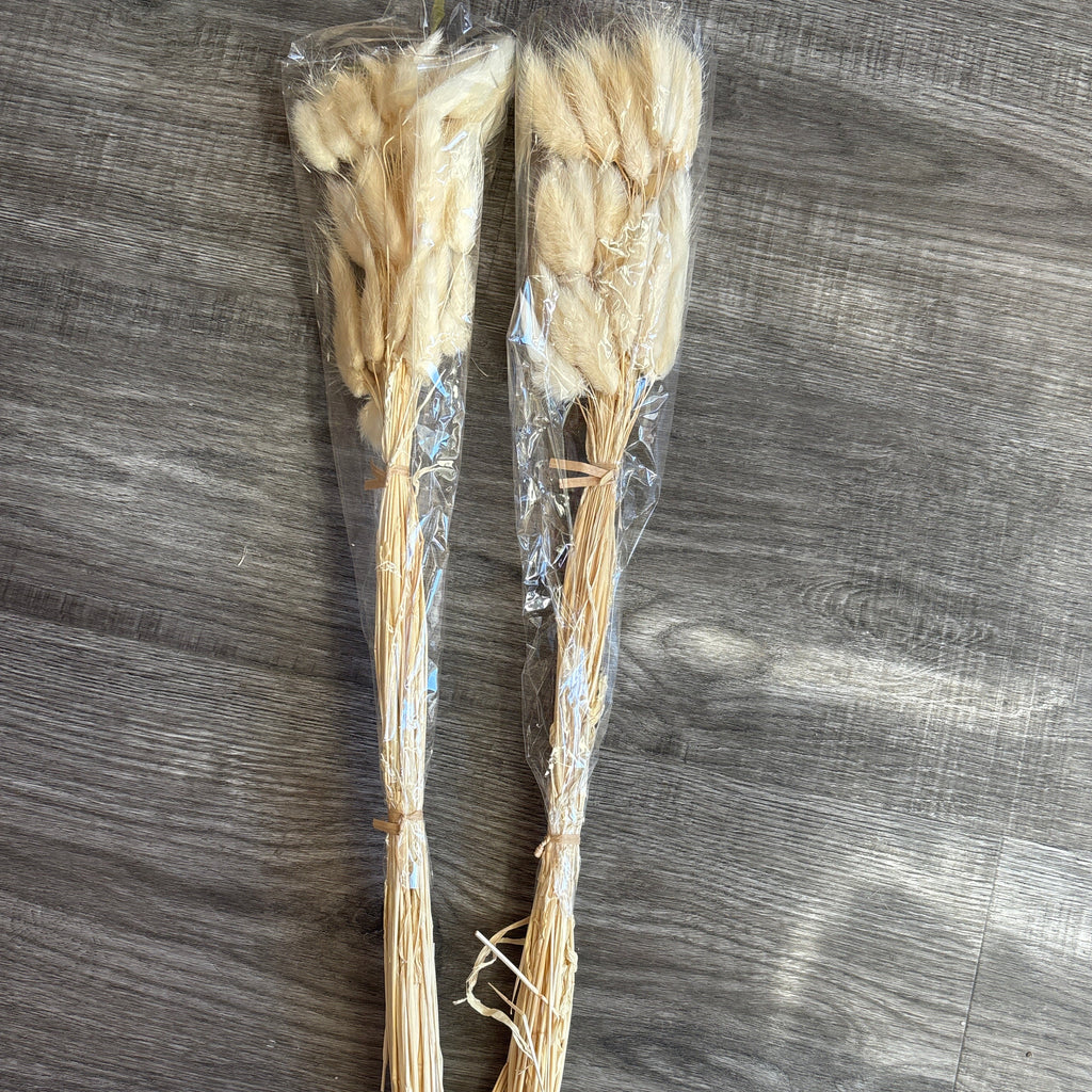 Dried Lagurus Ovatus Flower Fluffy Rabbit Tail Grass Natural 50cm Bunny tails Dried Flowers Dried Lagurus Ovatus