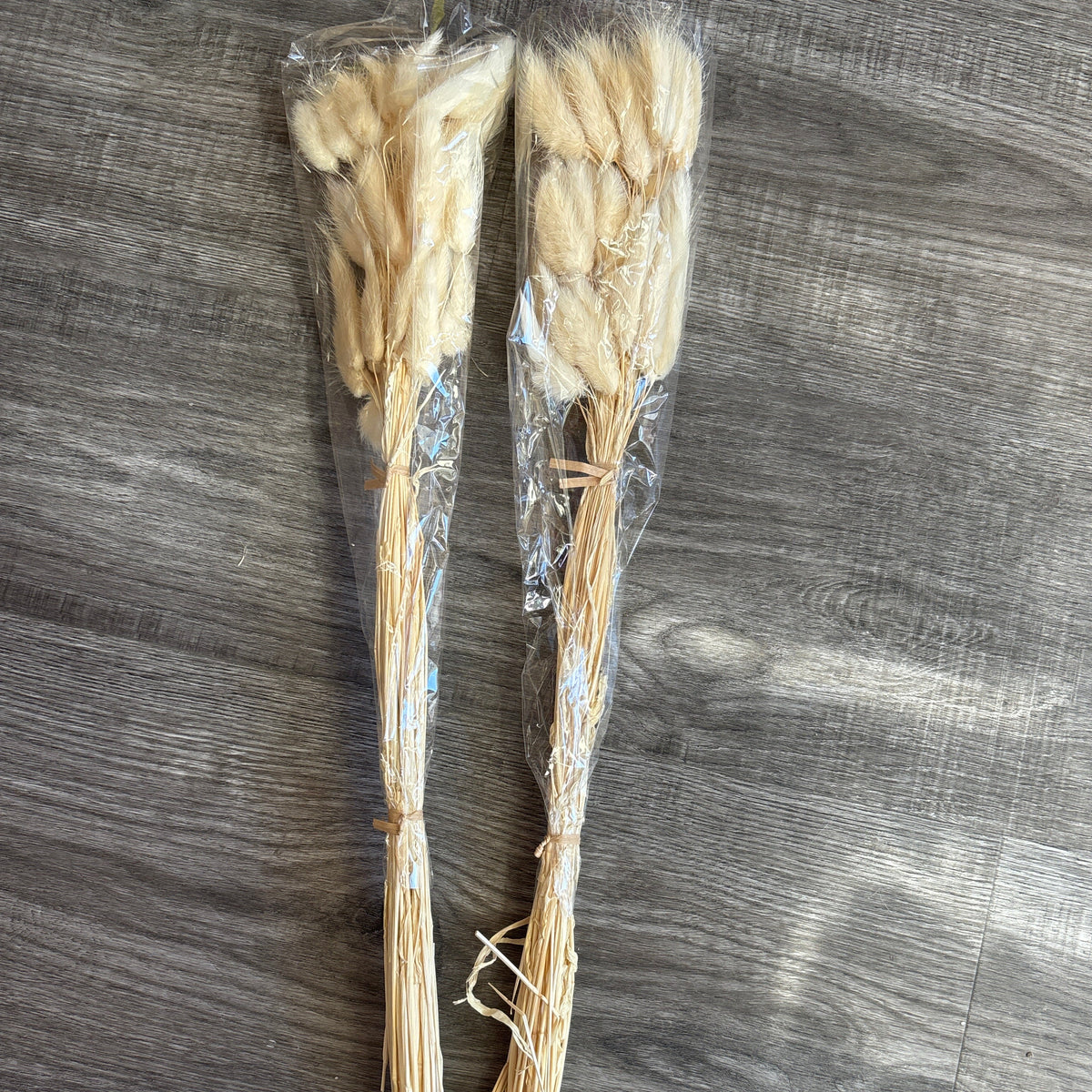 Dried Lagurus Ovatus Flower Fluffy Rabbit Tail Grass Natural 50cm Bunny tails Dried Flowers Dried Lagurus Ovatus