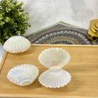 Big Shell Shape Plastic - Party Favor