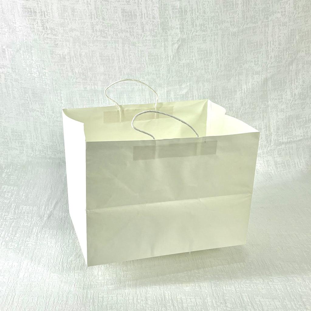 Paper Bag white color