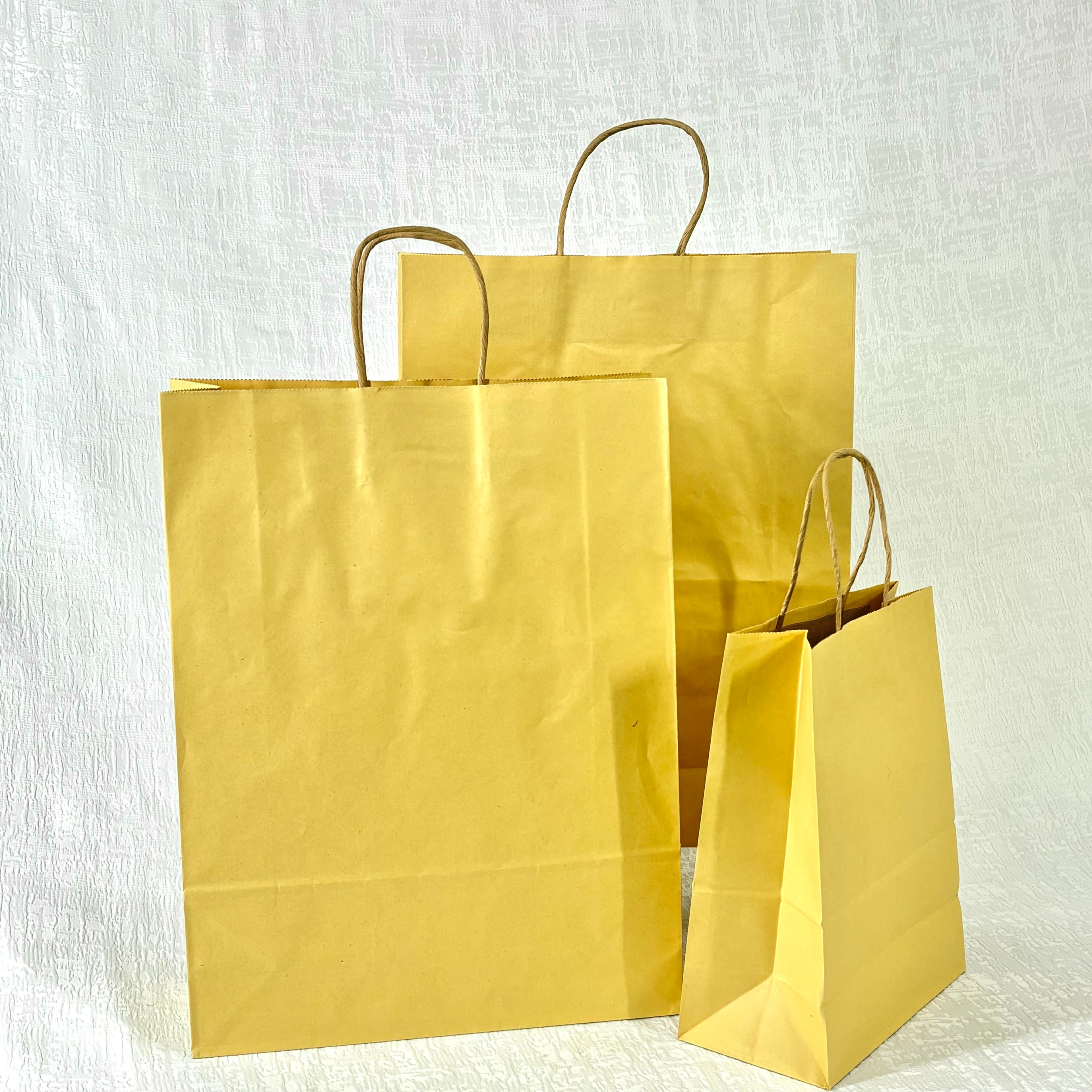 Brown Paper Bag