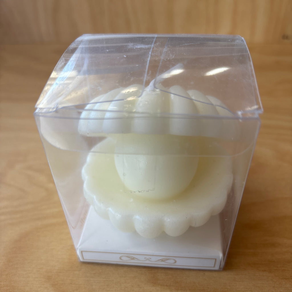 Candle See Shell Candle with Clear Box Party Favors Give Away. F90271