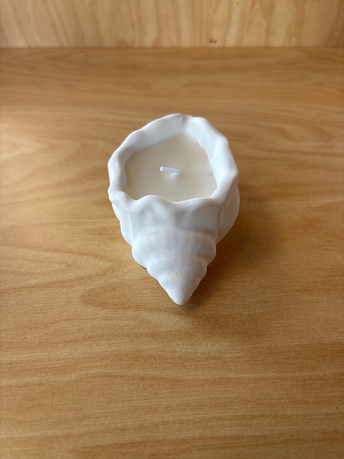 Candle See Shell Candle