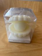 Candle See Shell Candle with Clear Box Party Favors Give Away. F90271