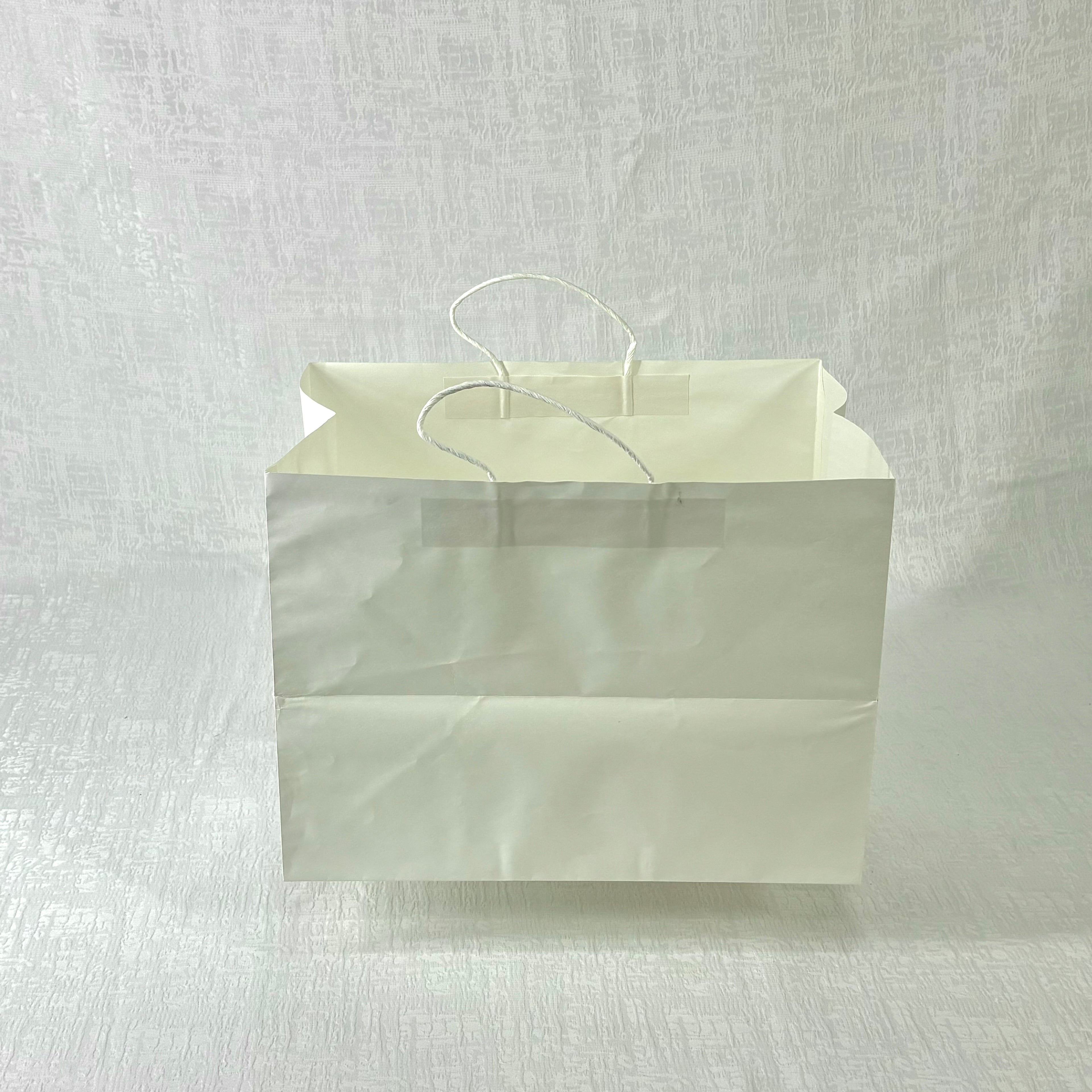 Paper Bag white color