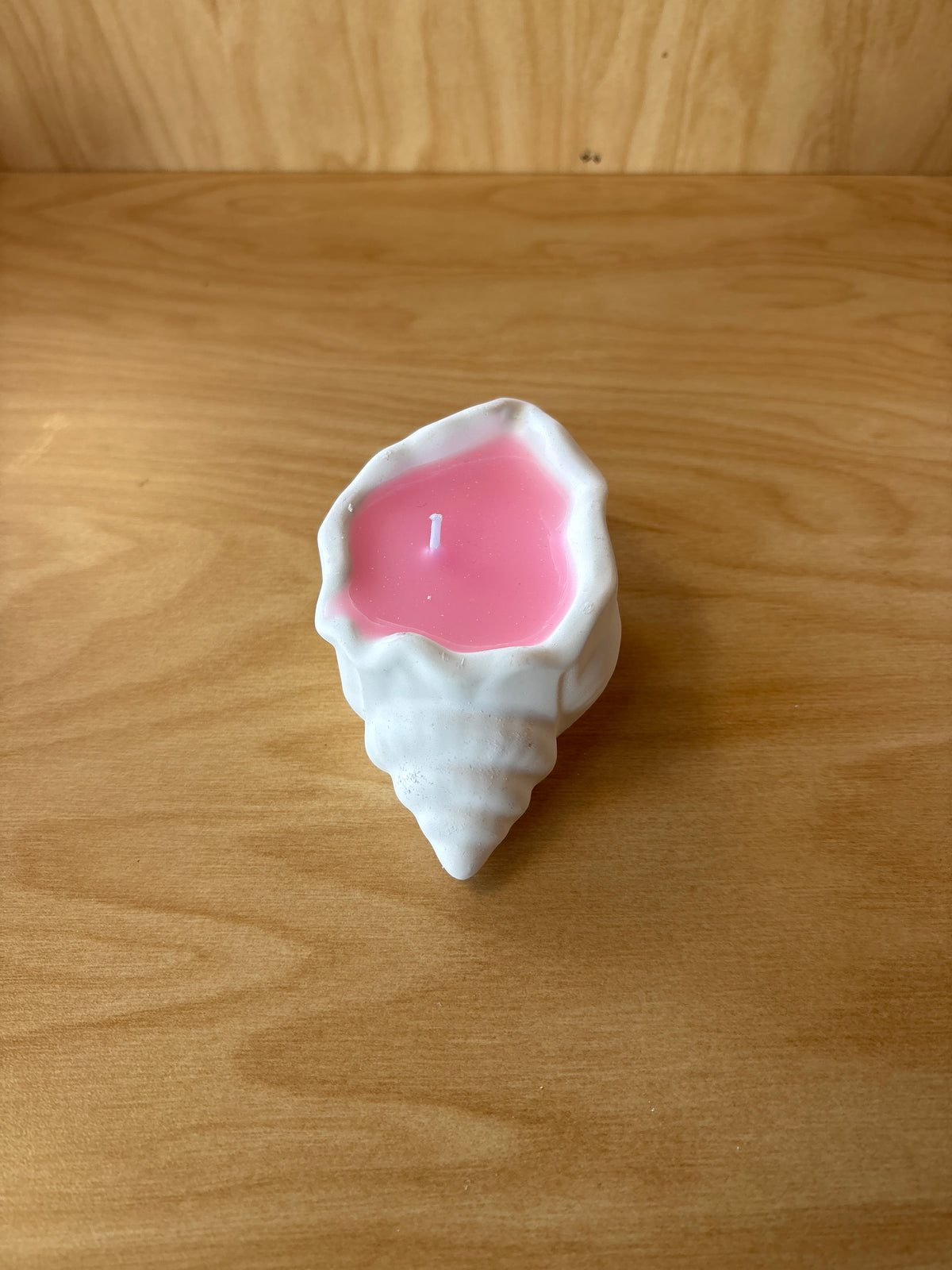 Candle See Shell Candle