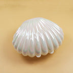 Shell Candy Boxes Plastic Mini Sea Shells Party Treat Candy Box Wedding Party Accessories Decorations Candy Supplies Gifts