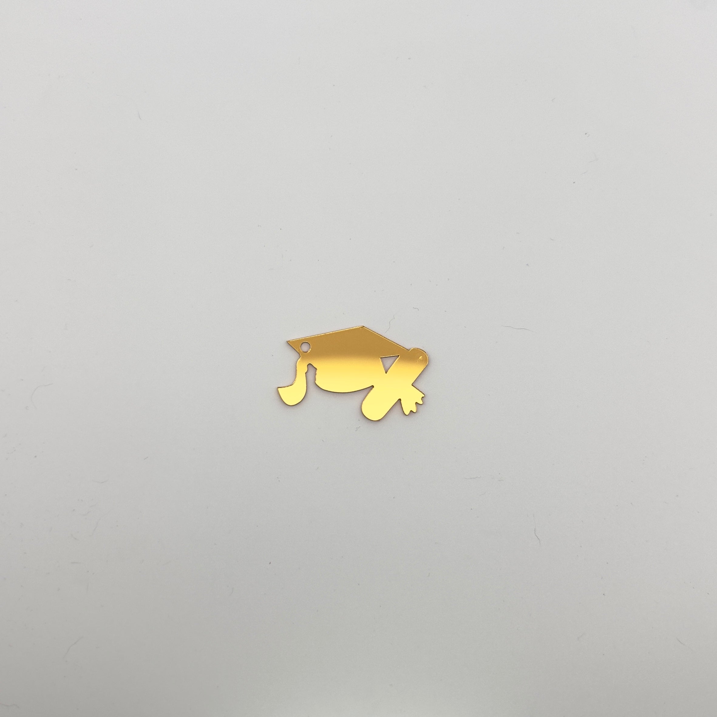 Personalized Acrylic Tags