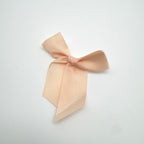 Bow Tie Ribbon