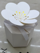 Wedding Favor boxes