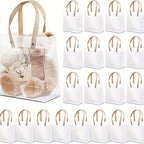 Gift Bag Transparent